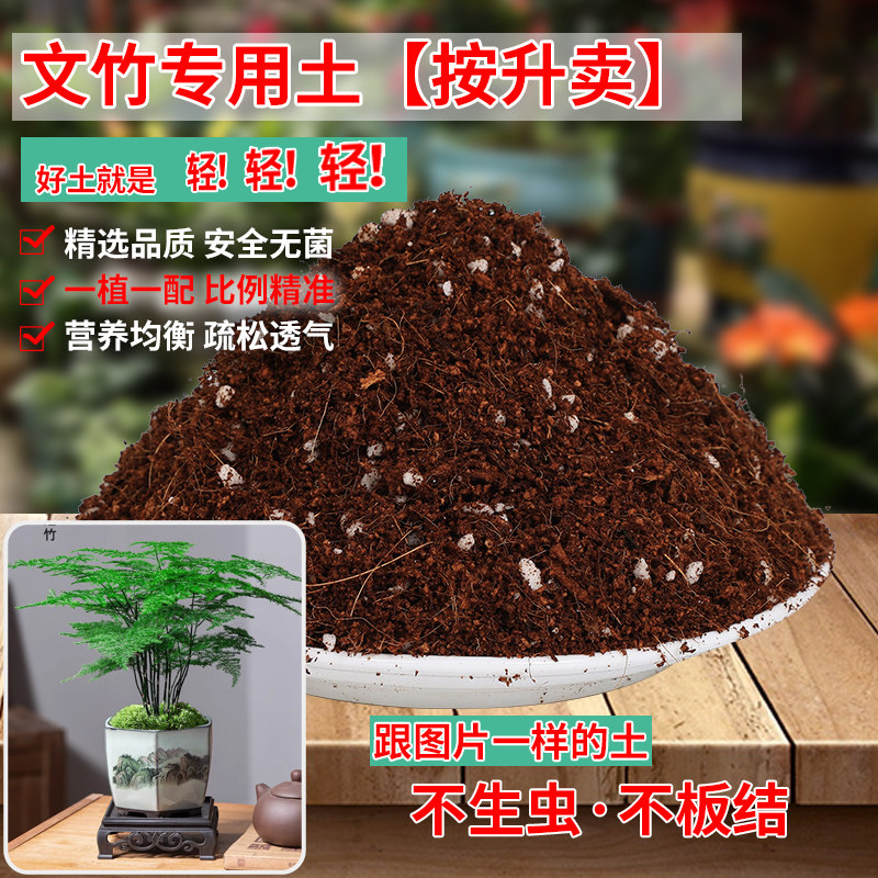 文竹专用土花土营养土种养云竹培养土壤盆栽培土泥土种植土肥料
