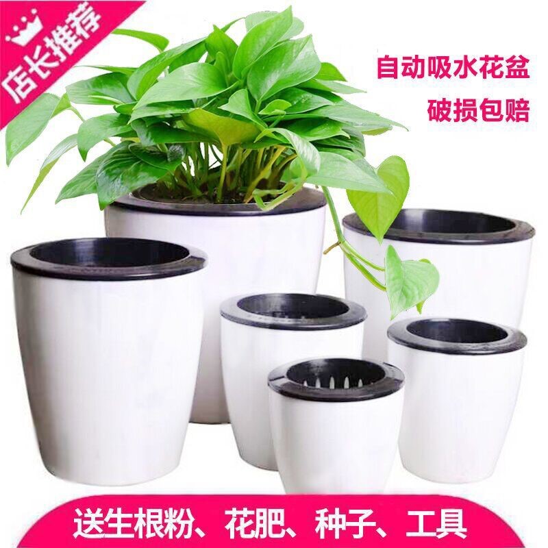 加厚懒人自动吸水花盆白色自动吸水室内水培多肉绿萝加厚懒人花盆
