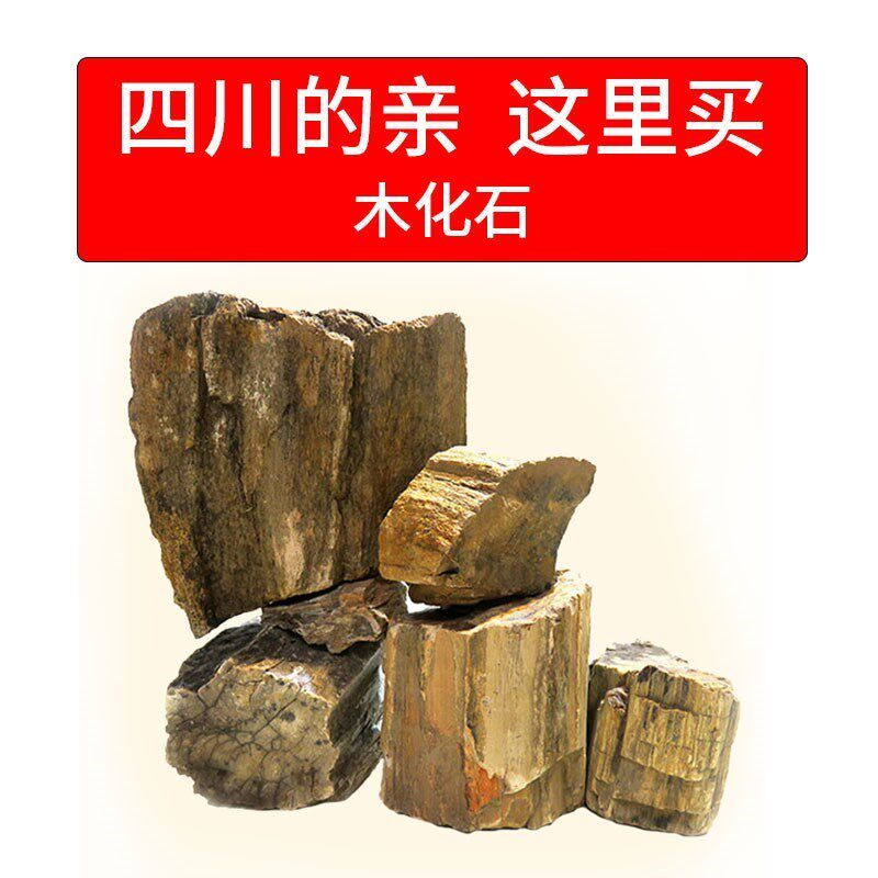 水底养鱼铺底家用石块观景可爱鱼缸石头盆景水池工艺品固定摆饰
