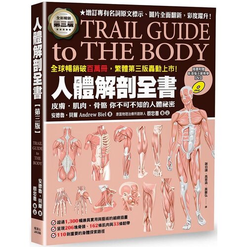 原版安德鲁贝尔皮肤肌肉骨骼