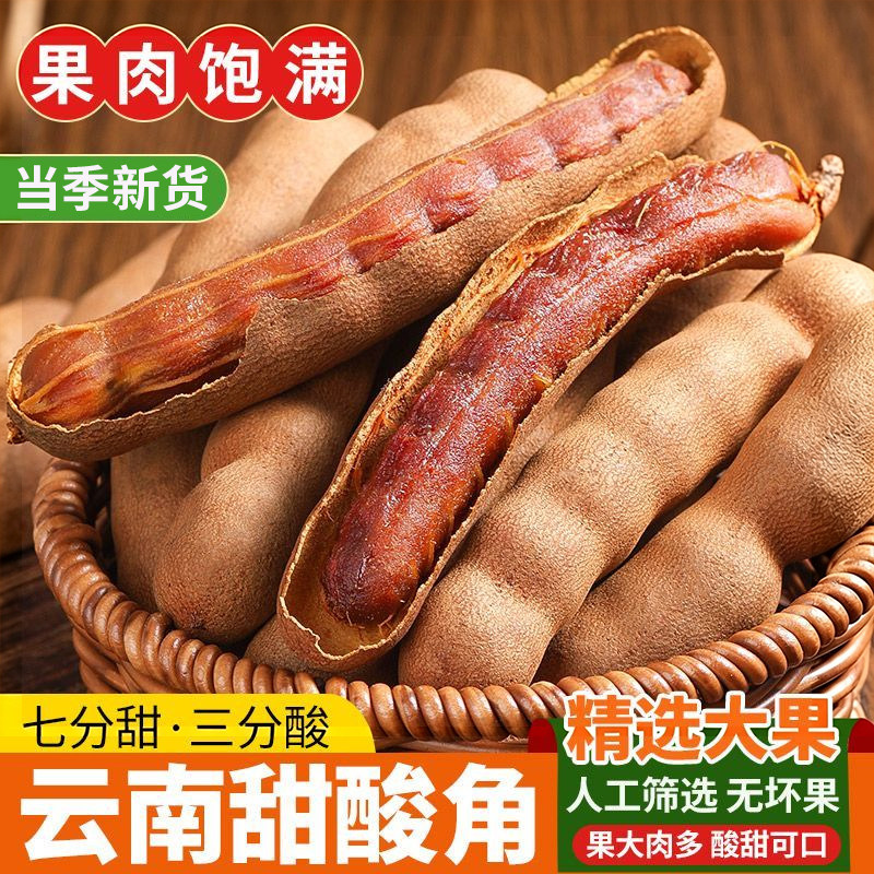 甜酸角云南特产色新鲜大果酸甜角孕妇水果豆角罗望子零食酸甜果干