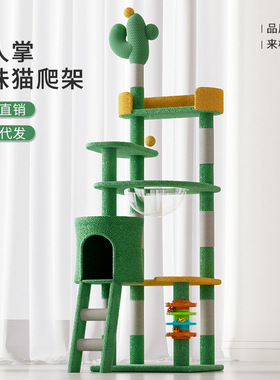 Cactus cat climbing frame, cat nest, cat tree integrated cat