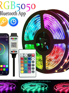 5050 10M 30leds/M LED Lights Strip 24 Key IR Remote Control