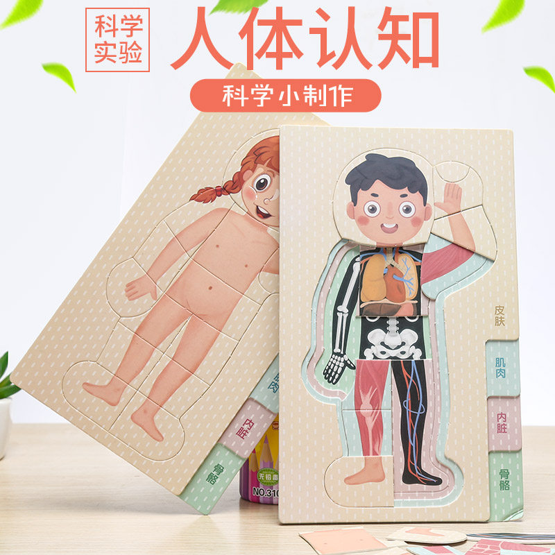 儿童人体认知拼图 diy科技小制作材料学生科学实验手工steam教具,玩具/童车/益智/积木/模型,科学实验,淘宝优惠券,粉丝福利购,淘宝优惠卷