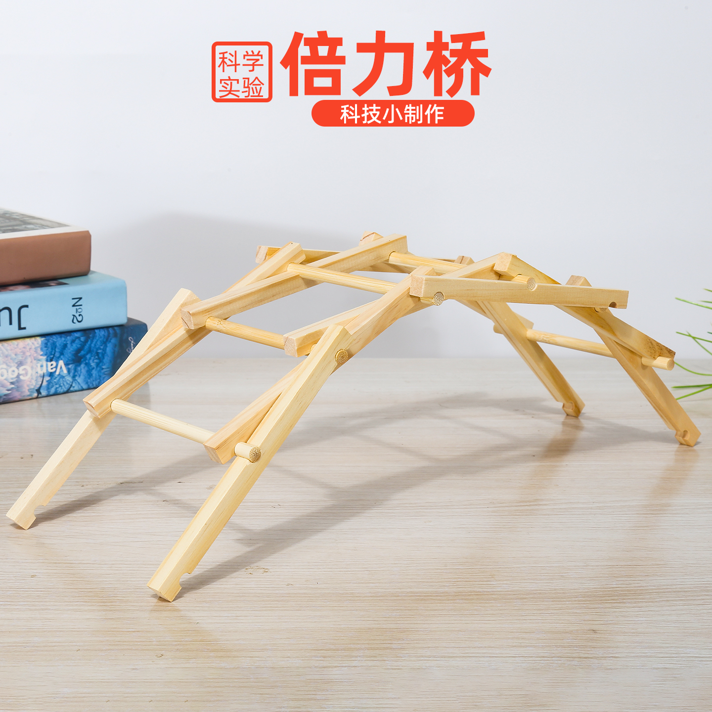 旦夫子倍力桥科学小实验套装