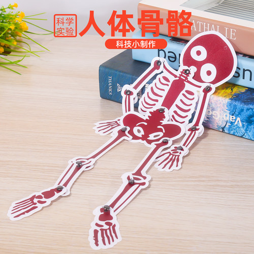旦夫子人体骨骼diy材料包