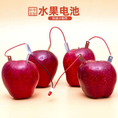 旦夫子水果电池diy化学实验材料