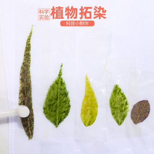 儿童植物敲拓染小制作材料包diy树叶草木拓印扎染方巾科学小实验