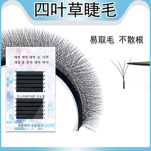 四叶草睫毛嫁接4D仙朵开花