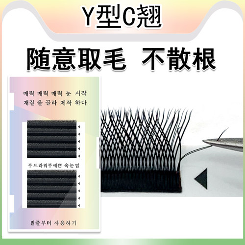 Y型嫁接睫毛编织yy不散根