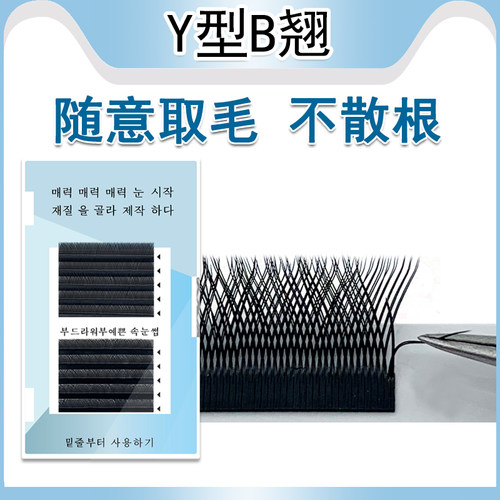 蝴蝶格格y型假眼睫毛bb翘磁性