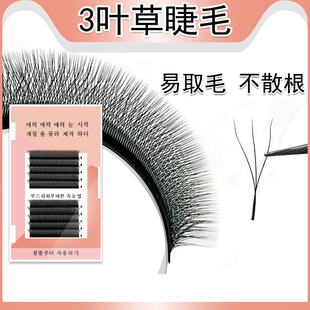 3叶草睫毛嫁接 3D自动开花种植假眼睫毛软比Y型浓密自然三叶仙草