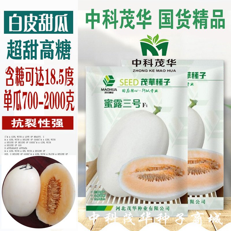 中科茂华 蜜露三号厚皮甜瓜种子 白皮红肉香瓜種子东方蜜脆梨型