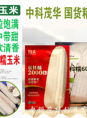 中科茂华 农科玉京科糯2000玉米种子609甜加糯杂交优质水果玉米种