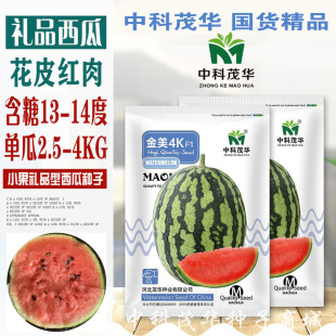 金美4k西瓜种子高产四季超甜全薄皮8424红壤水果中早熟西瓜种孑籽