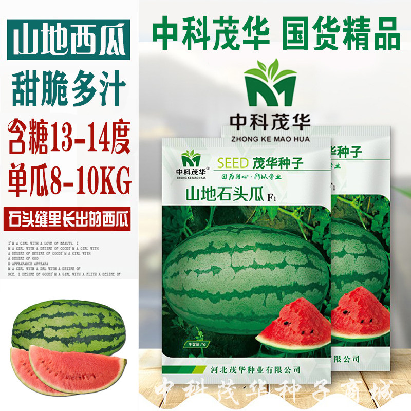 西瓜种子宁夏硒砂山地石头瓜四季播高产皮薄中熟超甜大水果种孑籽