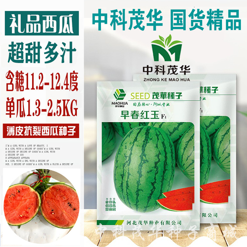 中科茂华早春红玉茂华小红玉中科金品红玉礼品西瓜种子红肉超甜脆