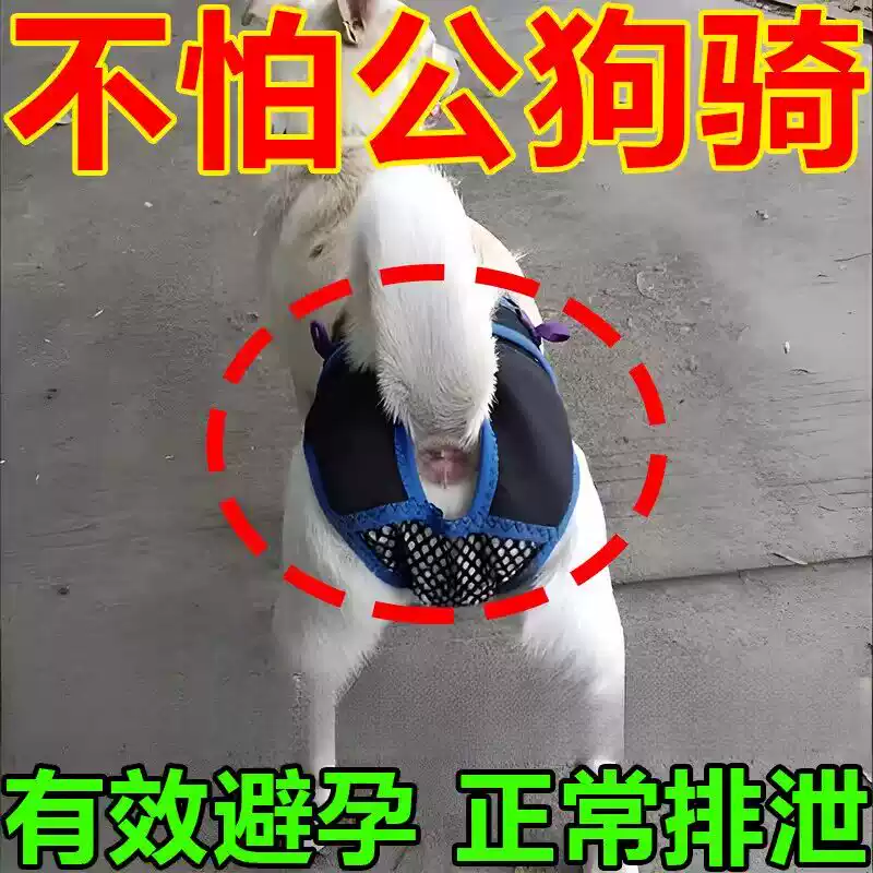 狗狗避孕裤可排泄裤防狗发情