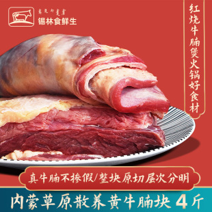 内蒙牛腩肉原切牛腩烧烤炖煮食材牛腩煲黄牛牛肉肚腩肉冷冻牛腩块