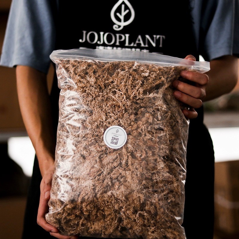 智利毛毛虫水苔 JoJoPlant鹿角蕨兰花专用进口介质