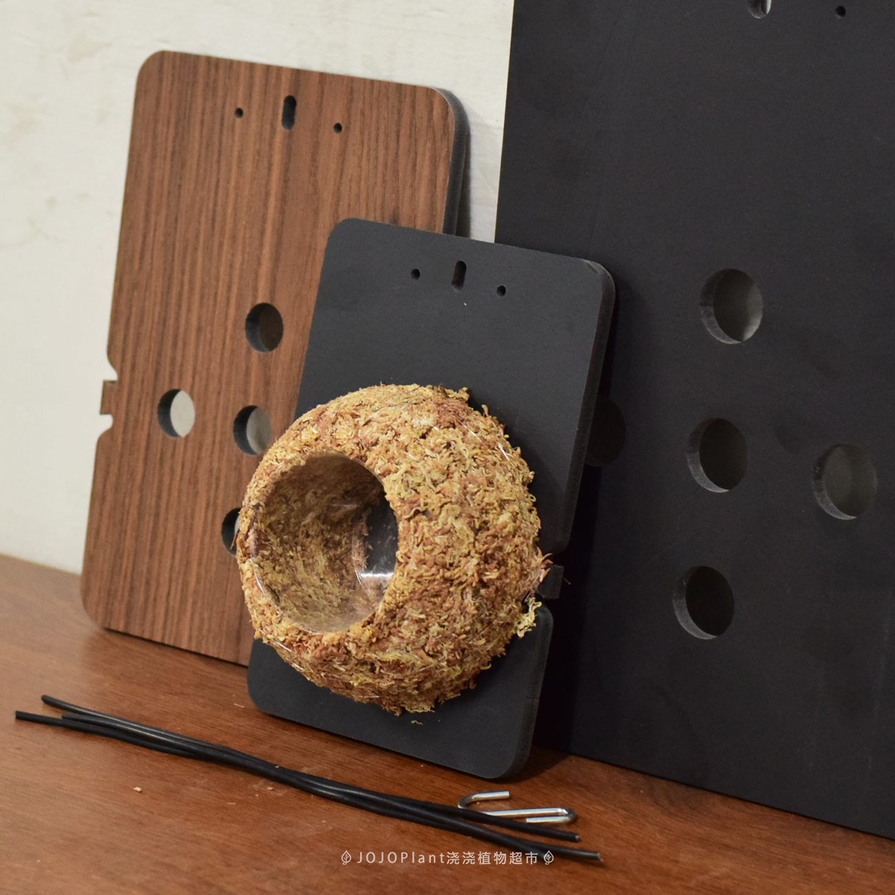 【板植挂板】 鹿角蕨板新手套装 挂墙植物背板环保复合材质兰花板,鲜花速递/花卉仿真/绿植园艺,时令草本花卉,淘宝优惠券,粉丝福利购,淘宝优惠卷