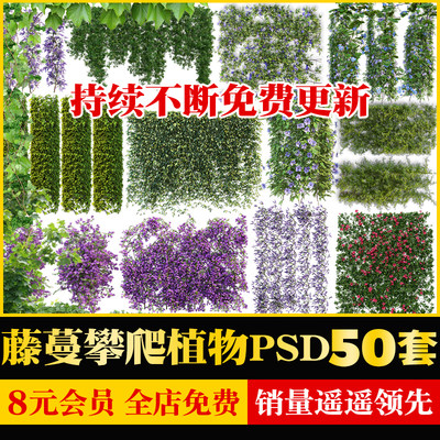 PS藤蔓爬藤藤本植物 攀缘攀爬类紫藤爬山虎景观效果图PSD免抠素材