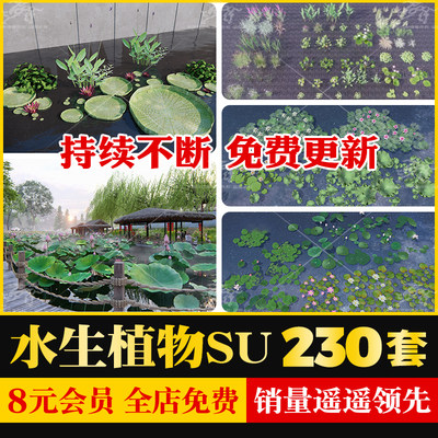 生态湿地滨水公园水生植物鱼池池塘睡莲荷花荷草本草图大师SU模型