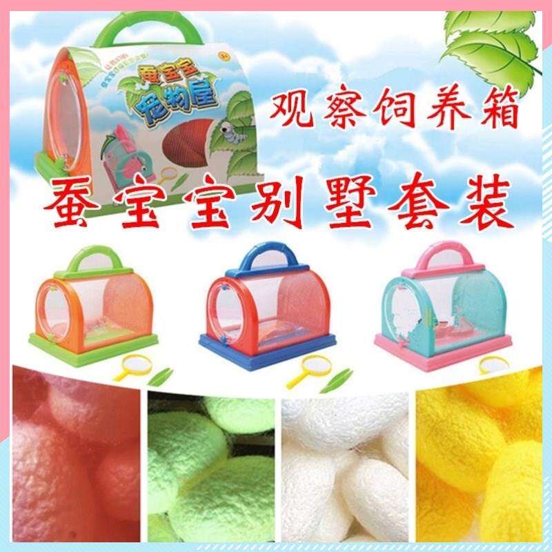 彩色蚕卵小学生养蚕宝宝别墅小型标准套装蚕宝宝的房子窝屋饲养盒