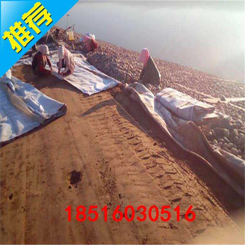 聚乙烯膜6*50米建筑工地地基防潮膜/公路加筋两布一膜g/农业保温