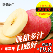 野蜂岭山东红富士苹果脆甜新鲜带箱5斤现发包邮整箱烟台栖霞水果