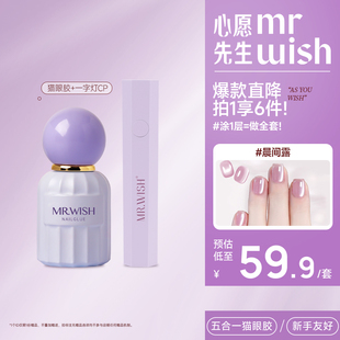MR.WISH心愿先生五合一猫眼甲油胶2026新款 指甲油一步胶美甲 爆款