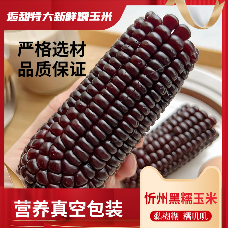 忻州黑糯玉米软糯鲜甜大棒