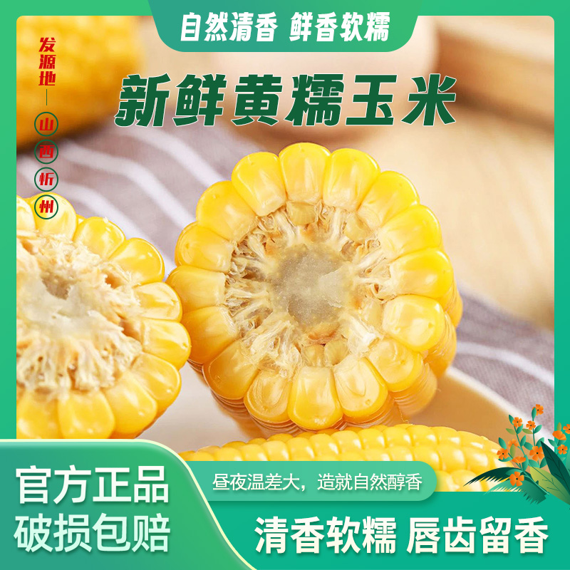 忻州新鲜甜糯黄糯玉米黑苞米白糯