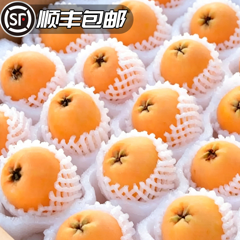 [送礼首选]【顺丰包邮】四川眉山文宫露天大五星枇杷新鲜现摘现发