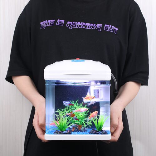 迷你小金鱼缸价格 迷你小金鱼缸图片 星期三