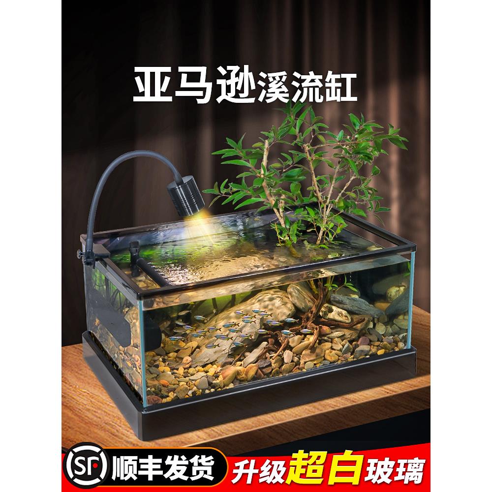 桌面超白玻璃南美风溪流造景客厅小型鱼龟共养生态新款鱼缸乌龟缸