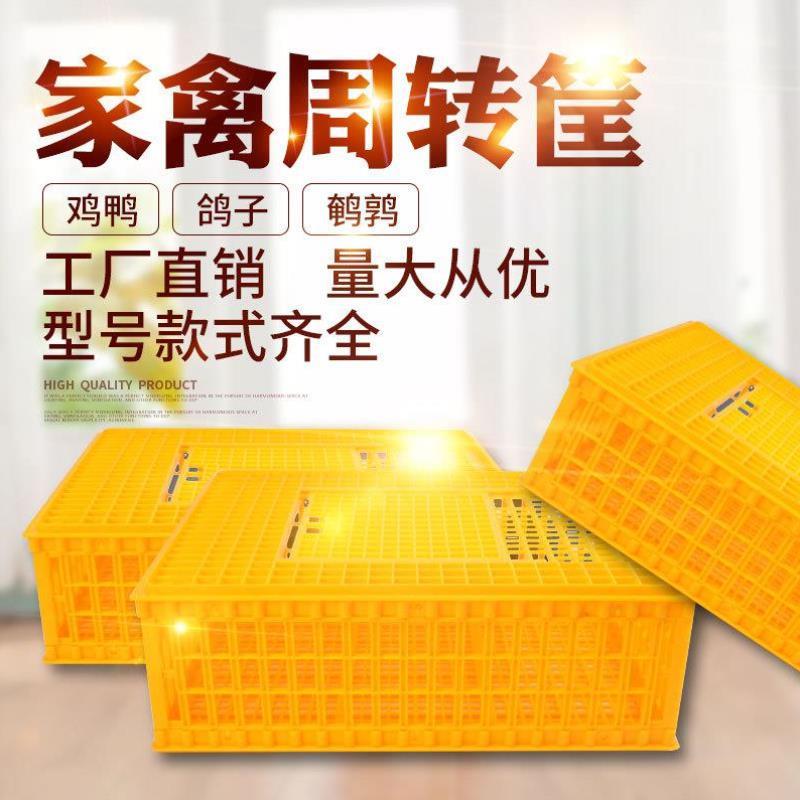 鸡笼子家用加厚家禽周转箱筐大号塑料鸭笼鹅笼鸡笼子加粗兔笼运输