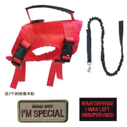 网红猫咪牵引绳背心式外出专用防挣脱遛猫绳自动伸缩背带溜猫链子