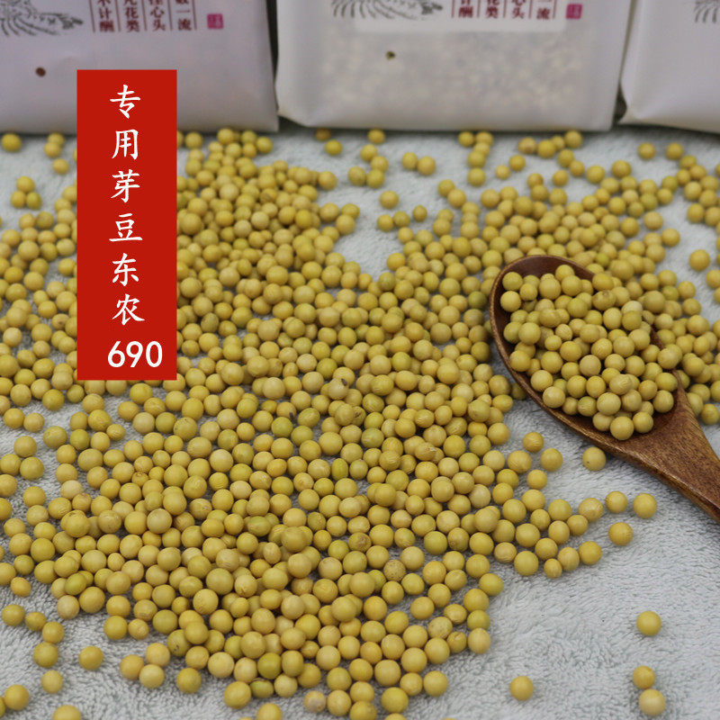 黄豆小粒500克发豆芽专用东农690黄豆极小粒芽豆非转基因珍珠黄豆