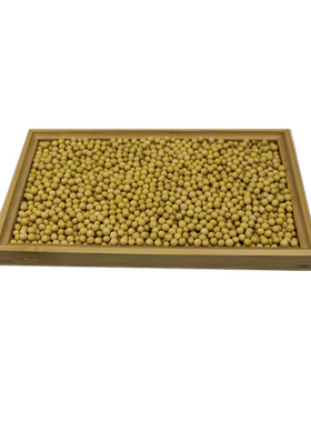 黄豆小粒斤发专用东农非转基因