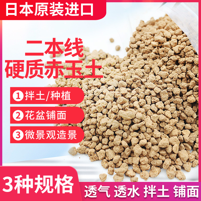 多肉铺面石进口盆栽营养土