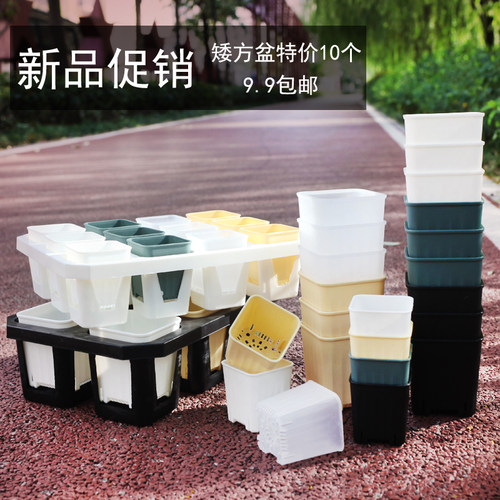 塑料材质简约时尚新品促销包邮