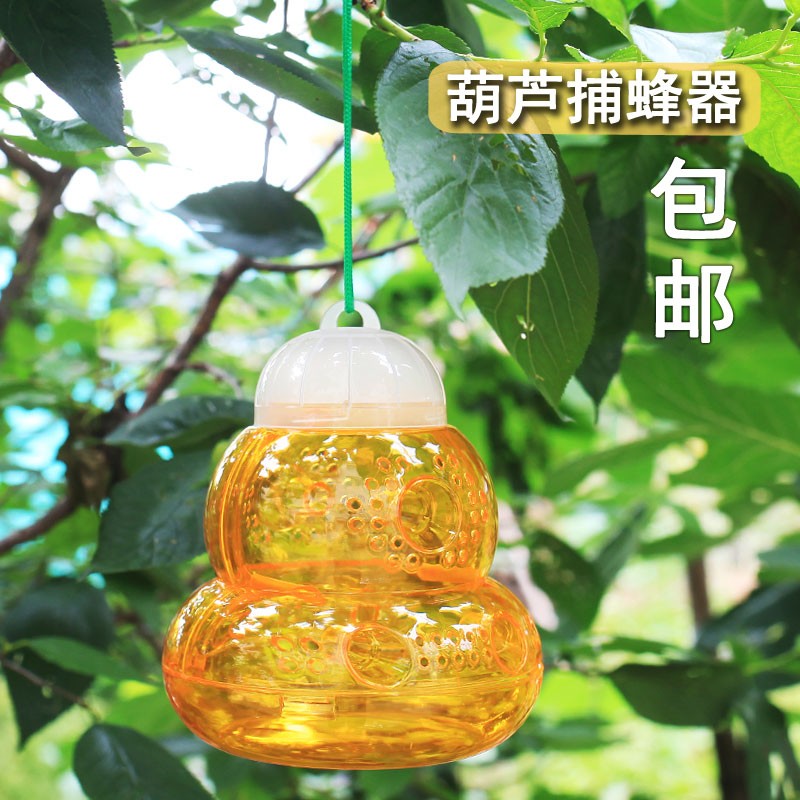 捕蜂器果实果园捕捉器艺术秀