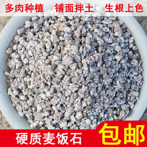家庭园艺硬质多肉种植麦饭石颗粒