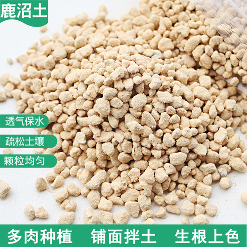 多肉进口花卉盆栽种植铺面土