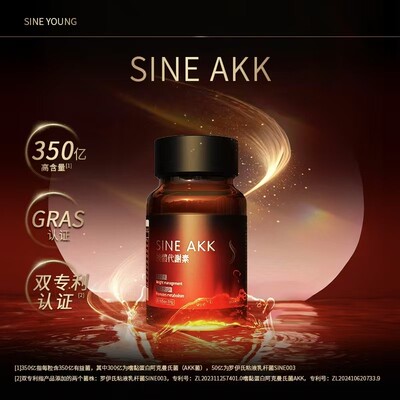 SINEYOUNG AKK瘦子菌提高代谢AKK益生菌胶囊体重身材管理1/2/3瓶