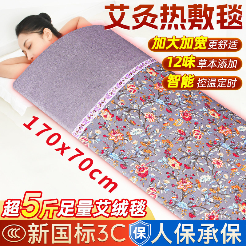 艾灸热敷毯电加热艾绒床垫艾草电热垫全身通用熏蒸家用养生理疗垫