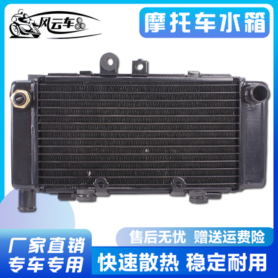 适用本田改装配件 小黄蜂250 hornet 水箱总成 水冷器 发动机散热