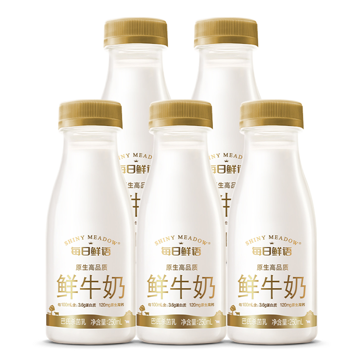 每日鲜语3.6全脂鲜奶250ml