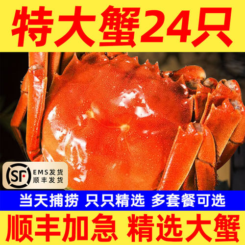 顺丰大闸蟹鲜活螃蟹河蟹湖蟹